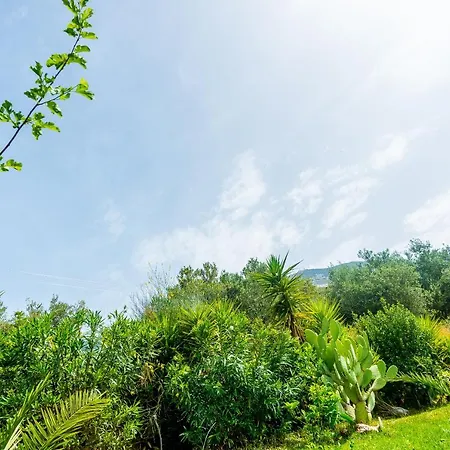 Lägenhet My Serenity